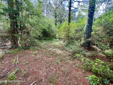 NE Highway 44, Summit, MS 39666 photo 8
