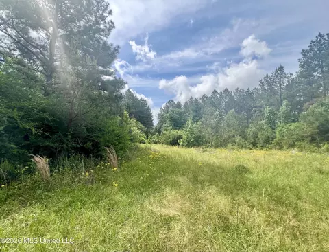 NE Highway 44, Summit, MS 39666 photo 9