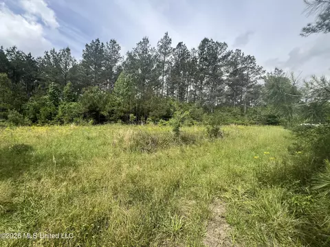 NE Highway 44, Summit, MS 39666 photo 2