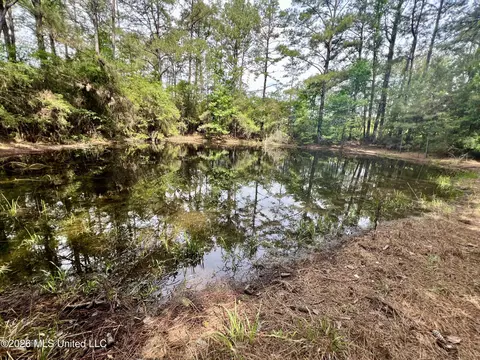 NE Highway 44, Summit, MS 39666 photo 6