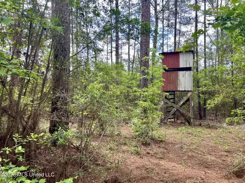 NE Highway 44, Summit, MS 39666 photo 4