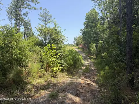 001 State Blvd, Meridian, MS 39305 photo 49
