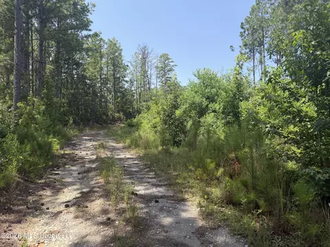 001 State Blvd, Meridian, MS 39305 photo 57