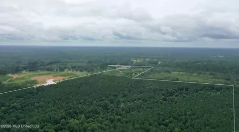 0 Ed Thomas Rd, Summit, MS 39666 photo 12