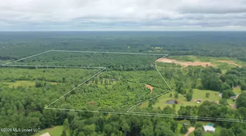 0 Ed Thomas Rd, Summit, MS 39666 photo 14