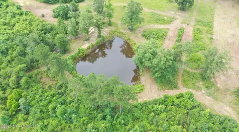 0 Ed Thomas Rd, Summit, MS 39666 photo 6