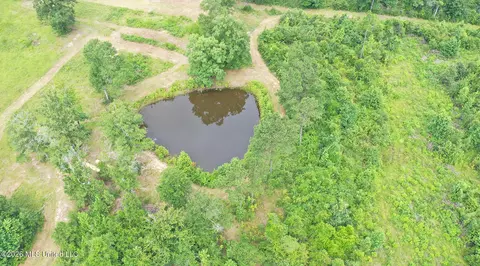 0 Ed Thomas Rd, Summit, MS 39666 photo 7