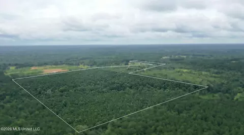 0 Ed Thomas Rd, Summit, MS 39666 photo 18