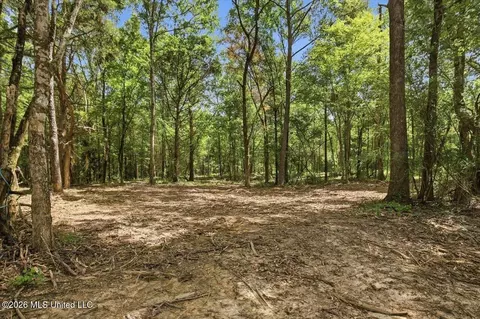 042 Potluck Rd, Canton, MS 39046 photo 9