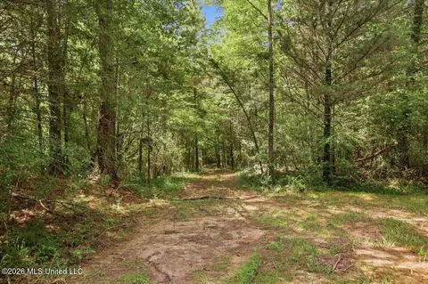 042 Potluck Rd, Canton, MS 39046 photo 8