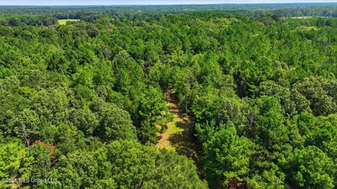 042 Potluck Rd, Canton, MS 39046 photo 23