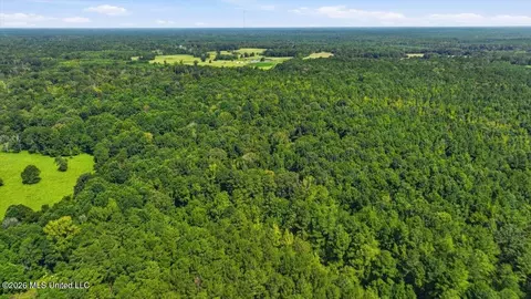 042 Potluck Rd, Canton, MS 39046 photo 25