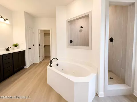 Bath - 6373 River Ln, Walls, MS 38680 photo 1 of 2