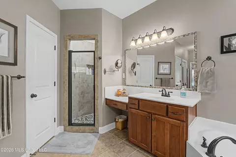 Bath - 927 Shadow View Dr, Hernando, MS 38632 photo 2 of 4