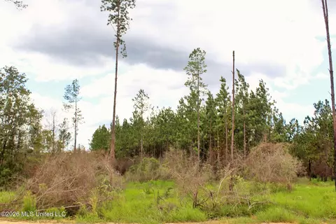 8 83ac Little Cedar Rd, Lucedale, MS 39452 photo 3