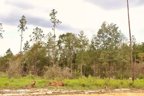 8 83ac Little Cedar Rd, Lucedale, MS 39452 photo 9
