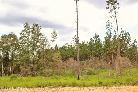 8 83ac Little Cedar Rd, Lucedale, MS 39452 photo 6