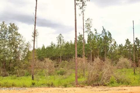 8 83ac Little Cedar Rd, Lucedale, MS 39452 photo 5