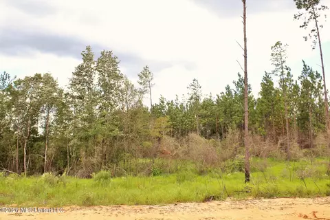 8 83ac Little Cedar Rd, Lucedale, MS 39452 photo 7