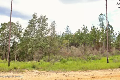 8 83ac Little Cedar Rd, Lucedale, MS 39452 photo 8