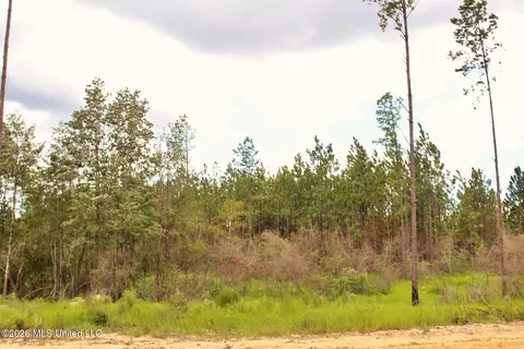 8 83ac Little Cedar Rd, Lucedale, MS 39452 photo 12