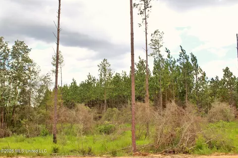 8 83ac Little Cedar Rd, Lucedale, MS 39452 photo 4