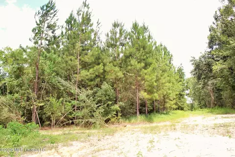 66 Ac Little Cedar Rd, Lucedale, MS 39452 photo 5