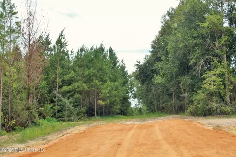 66 Ac Little Cedar Rd, Lucedale, MS 39452 photo 4