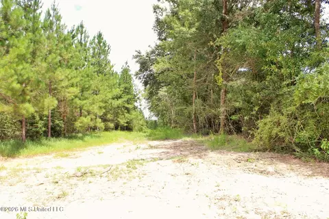66 Ac Little Cedar Rd, Lucedale, MS 39452 photo 10
