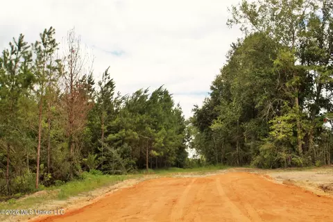 66 Ac Little Cedar Rd, Lucedale, MS 39452 photo 14