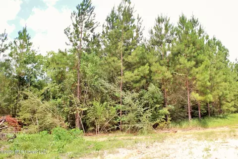 66 Ac Little Cedar Rd, Lucedale, MS 39452 photo 6