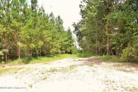 66 Ac Little Cedar Rd, Lucedale, MS 39452 photo 11