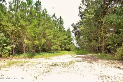 66 Ac Little Cedar Rd, Lucedale, MS 39452 photo 13