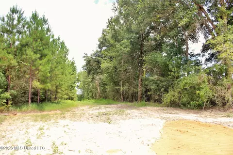 14 Ac Little Cedar Rd, Lucedale, MS 39452 photo 9