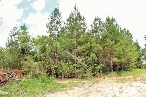 14 Ac Little Cedar Rd, Lucedale, MS 39452 photo 8