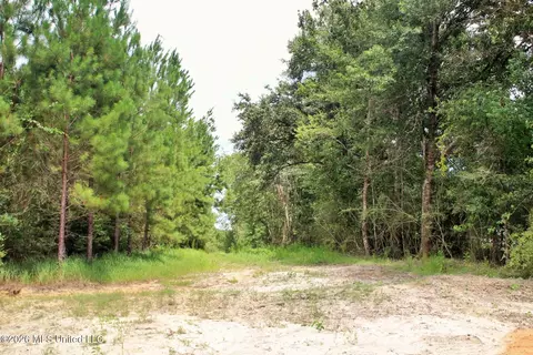 14 Ac Little Cedar Rd, Lucedale, MS 39452 photo 4