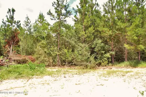 14 Ac Little Cedar Rd, Lucedale, MS 39452 photo 13