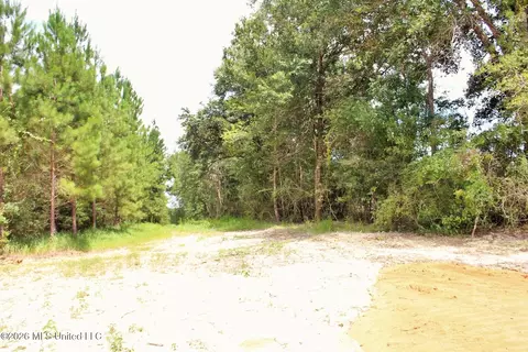 14 Ac Little Cedar Rd, Lucedale, MS 39452 photo 10