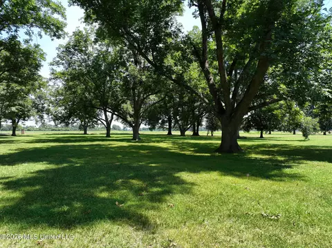 Exterior - 300 East Ave, Lula, MS 38644 photo 5 of 12