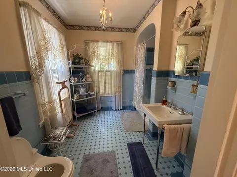 Bath - 300 East Ave, Lula, MS 38644 photo 4 of 4