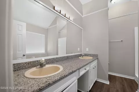 Bath - 550 Spring Hill Dr, Madison, MS 39110 photo 2 of 2
