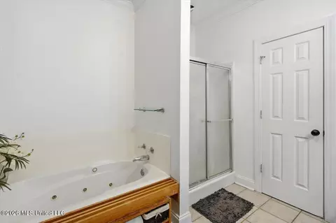 Bath - 161 Mandarin Dr, Brandon, MS 39047 photo 4 of 4
