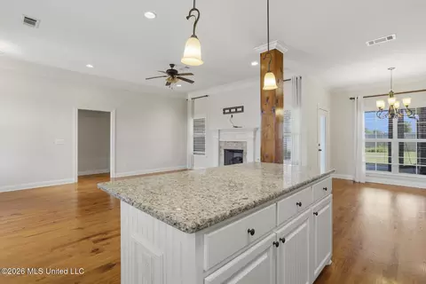 Other - 276 Rockbridge Dr, Madison, MS 39110 photo 4 of 15