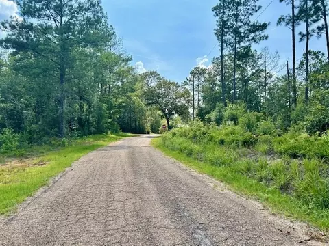 0 Bridges Quin Cir, Summit, MS 39666 photo 2
