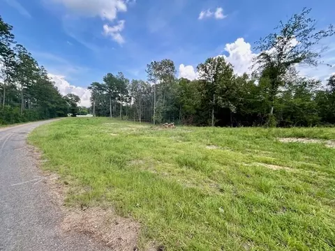0 Bridges Quin Cir, Summit, MS 39666 photo 4