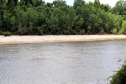 View/Area - 25305 Turps Dr, Lucedale, MS 39452 photo 2 of 3