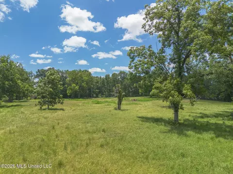 Old Highway 49, Mchenry, MS 39561 photo 3