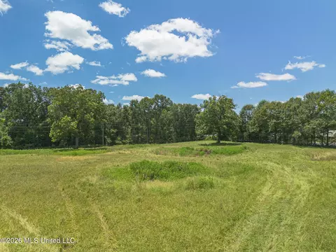 Old Highway 49, Mchenry, MS 39561 photo 4