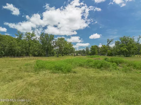 Old Highway 49, Mchenry, MS 39561 photo 5