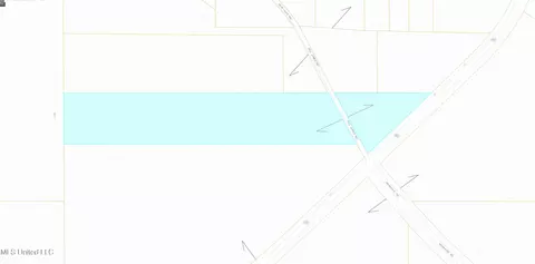 Bill Jones Road, Mount Olive, MS 39119 photo 3